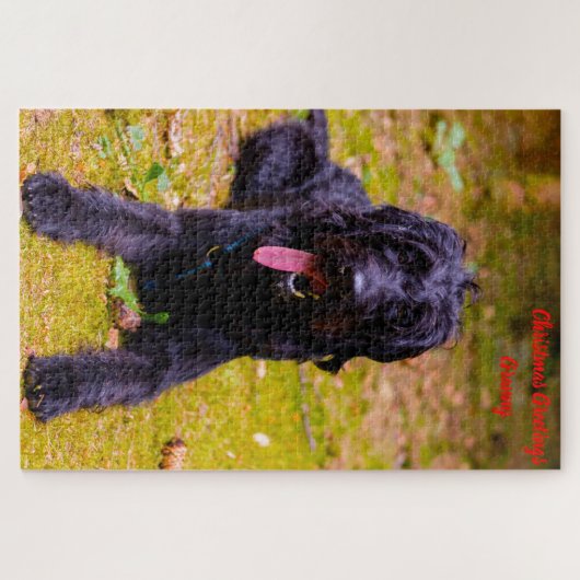 Christmas Granny Puzzle (Horizontal)