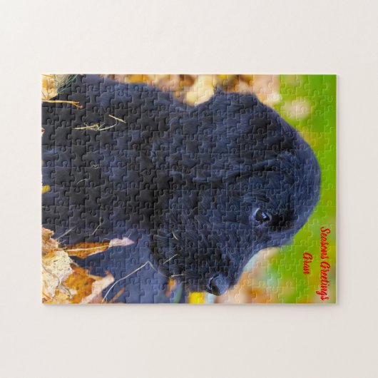 Christmas Granny Puzzle (Horizontal)