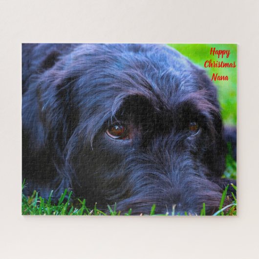 Christmas Granny Puzzle (Horizontal)