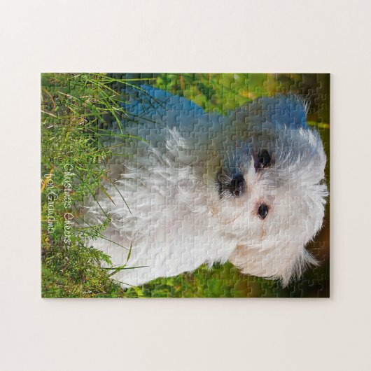 Christmas Granny Puzzle (Horizontal)