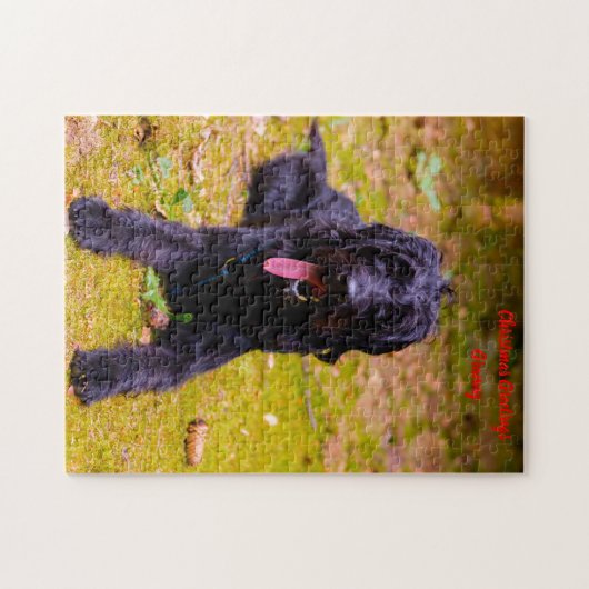 Christmas Granny Puzzle (Horizontal)