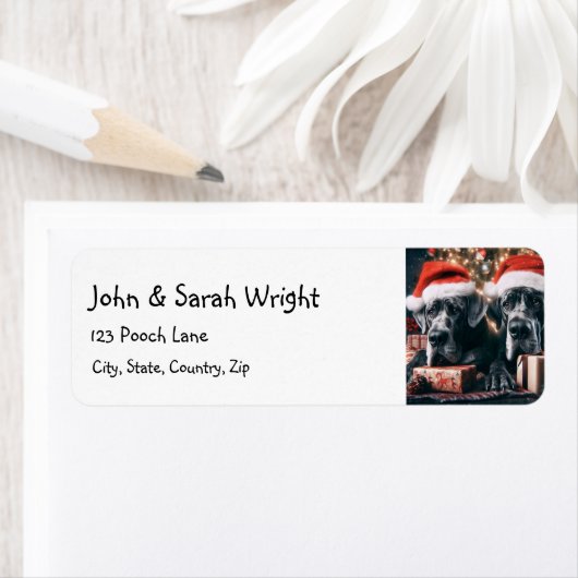 Christmas Great Dane Dog (Insitu)