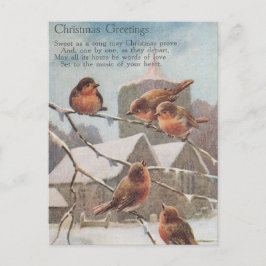 CHRISTMAS GREETINGS FIVE robins Postkarte