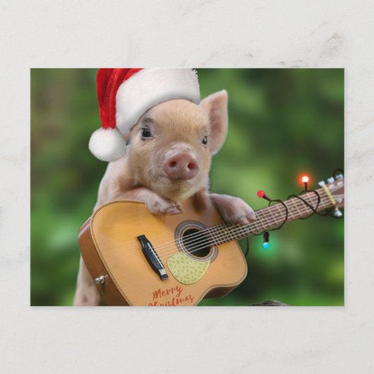 Christmas guitar pig postkarte (Vorderseite)