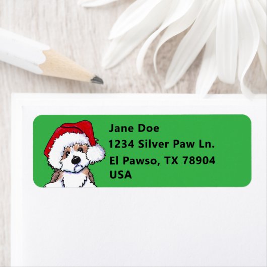 Christmas Havanese KiniArt (Insitu)