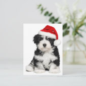 Christmas Havanese Puppy Dog Feiertagspostkarte (Stehend Vorderseite)