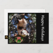 Christmas Holiday Opossum Postcard Feiertagspostkarte (Vorne/Hinten)