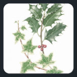 Christmas Holly & Ivy Sprigs Botanische Stickers<br><div class="desc">Weihnachten Holly & Ivy Sprigs Botanische Wasserfarben-Holly und Efeu Sprigs in einem botanischen Stil Wasserfarbe,  ein ideales Design für Weihnachten!</div>