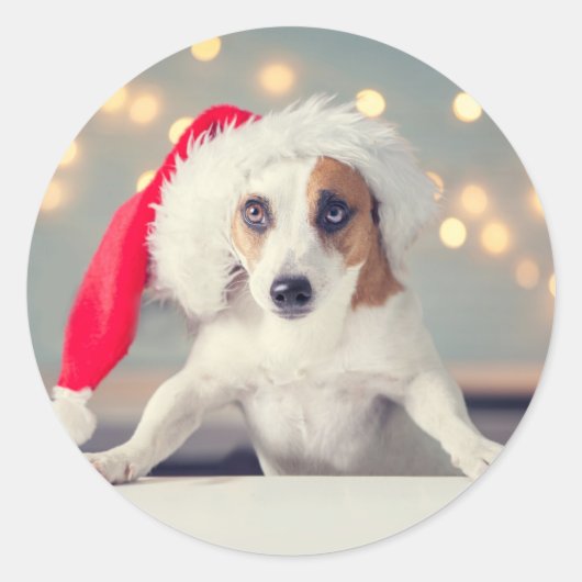 CHRISTMAS HUND MIT Weihnachtsmannmütze-Aufkleber Runder Aufkleber (Vorderseite)