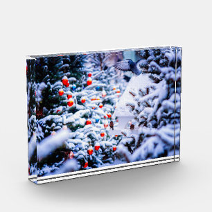 Christmas Idyll elegant Fotoblock