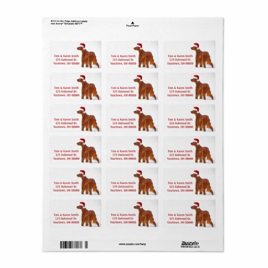 Christmas Irish Setter Adressaufkleber (Vorne)