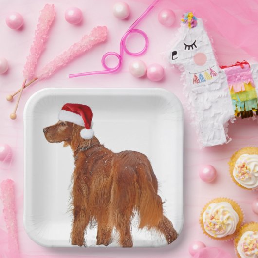 Christmas Irish Setter Pappteller (Party)