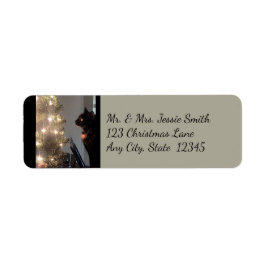 Christmas Joy Calico Cat Rücksendeadressen-Aufkleb