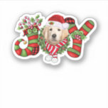Christmas Joy Zwarf Strumpf Golden Retriever Aufkleber<br><div class="desc">Christmas Joy Zwarf Strumpf Golden Retriever</div>