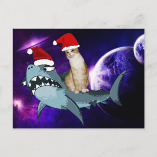 CHRISTMAS KATZE IM RAUM RIDNG EINE SHARK POSTCARD POSTKARTE