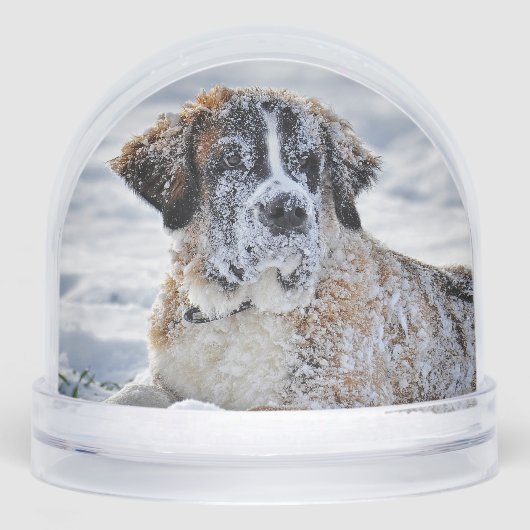 Christmas, Keepsake, or Memorial Custom Pet Photo  Schneekugeln (Vorderseite)
