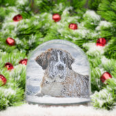 Christmas, Keepsake, or Memorial Custom Pet Photo  Schneekugeln (Weihnachten)