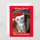 Christmas Kitten Postcard Feiertagspostkarte (Vorne/Hinten)