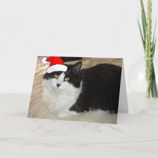 Christmas Kitty Cat Feiertagskarte (Vorderseite)