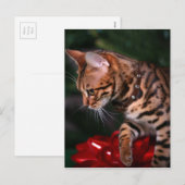 Christmas Kitty Foto Feiertagspostkarte (Vorne/Hinten)