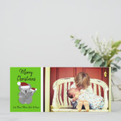 Christmas Koalas Foto (Stehend Vorderseite)