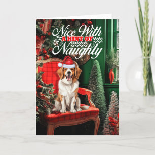 Christmas Kooikerhondje Dog Naughty oder Nice Feiertagskarte