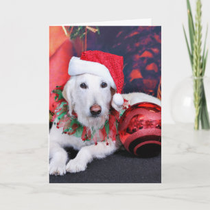 Christmas - LabraDoodle - Izzy Feiertagskarte