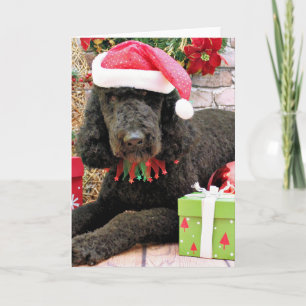 Christmas - LabraDoodle - Miller Feiertagskarte