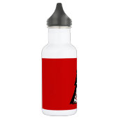 CHRISTMAS LADYBUGS TRINKFLASCHE (Links)