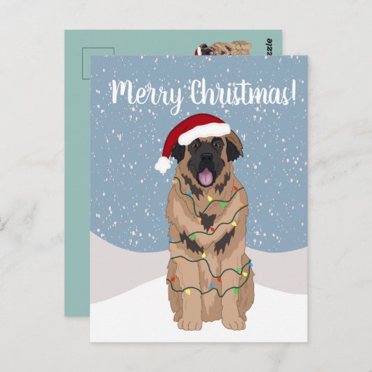 Christmas Leonberger Postkarte (Vorne/Hinten)