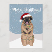 Christmas Leonberger Postkarte (Vorderseite)