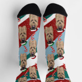 Christmas Leonberger Socken (Oben)