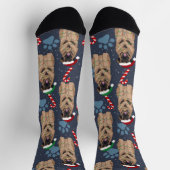 Christmas Leonberger Socken (Oben)