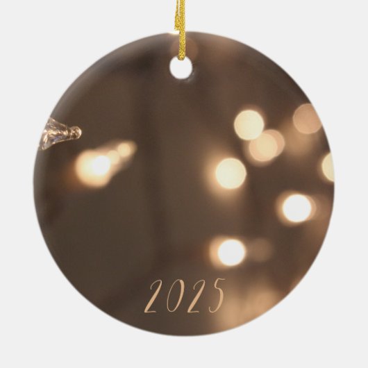 Christmas Lights Ornament (Hinten)