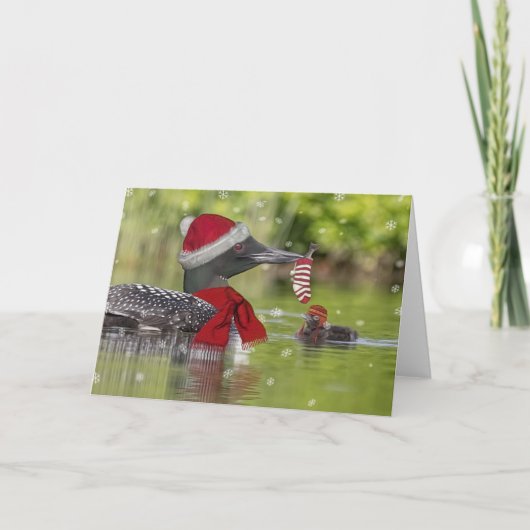 Christmas Loon und Chick Feiertagskarte (Vorderseite)