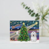 Christmas Magic Baumwolle Feiertagspostkarte (Stehend Vorderseite)