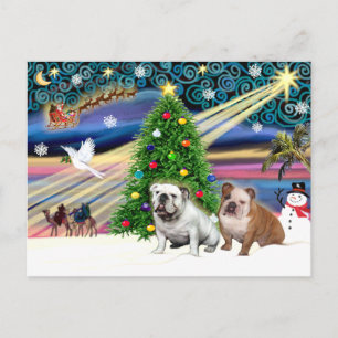 Christmas Magic English Bulldogs (zwei) Feiertagspostkarte