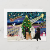 Christmas Magic Poodles - Standard (5) Feiertagspostkarte (Vorne/Hinten)