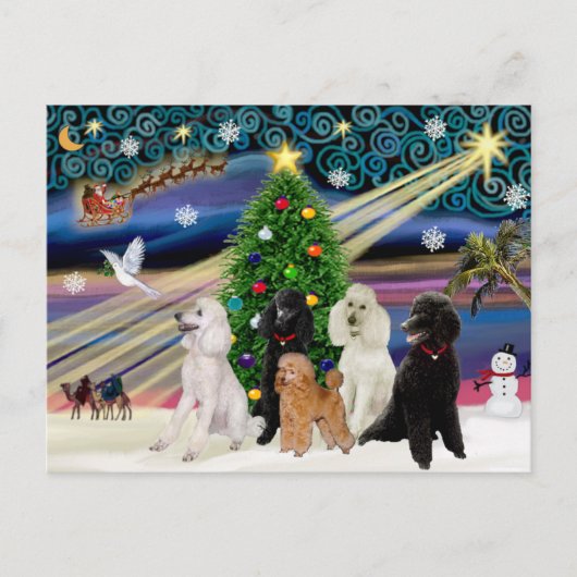 Christmas Magic Poodles - Standard (5) Feiertagspostkarte (Vorderseite)