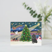 Christmas Magic Schipperke Feiertagspostkarte (Stehend Vorderseite)