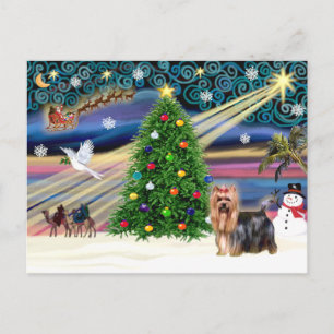 Christmas Magic Yorkshire Terrier #9 Feiertagspostkarte