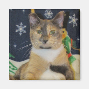 Christmas Magnet - Cat / Kitten