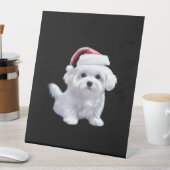 Christmas Maltese - Perfect For Animal Lovers Clas Sockelschild (In Situ)