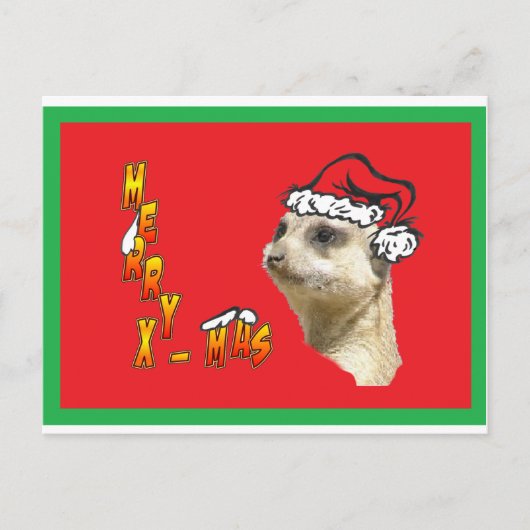 Christmas Meerkat Rote Postkarte (Vorderseite)