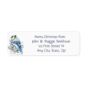 Christmas Message Blue Jay Bird Wildlife Art
