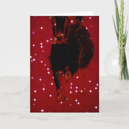 Christmas Misha Feiertagskarte (Vorderseite)