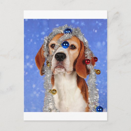 Christmas Mishap Feiertagspostkarte (Vorderseite)