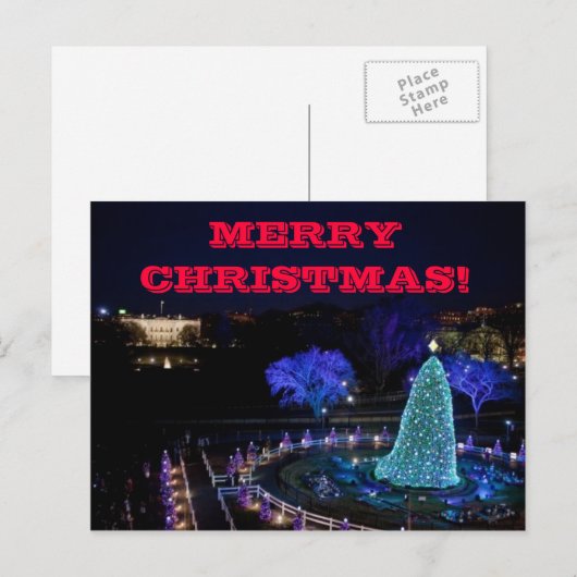 Christmas Nat'l Tree - Postkarte (Vorne/Hinten)