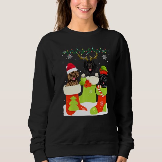 Christmas Newfoundland In Sock Xmas Reindeer Santa Sweatshirt (Vorderseite)