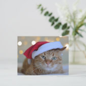 CHRISTMAS NIEDLICH GINGER CAT POSTCARDS POSTKARTE (Stehend Vorderseite)